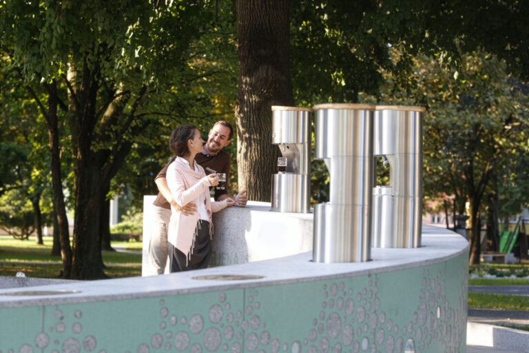 Fontana piv Žalec